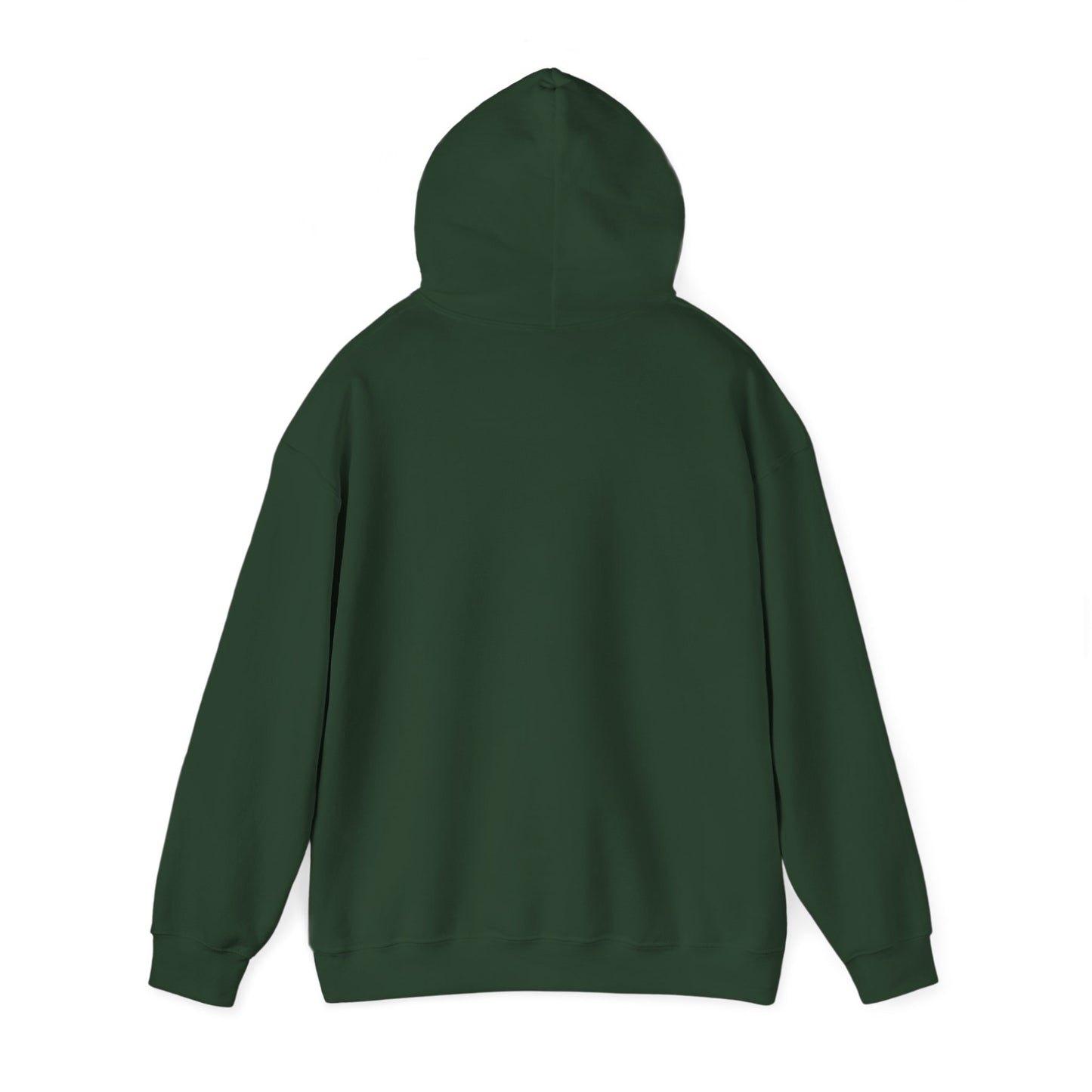 Travel-Inspired Women's Hoodie - Adventure Awaits Sweatshirt, Cozy Clothing, Gift for Travelers, Travel Merchandise