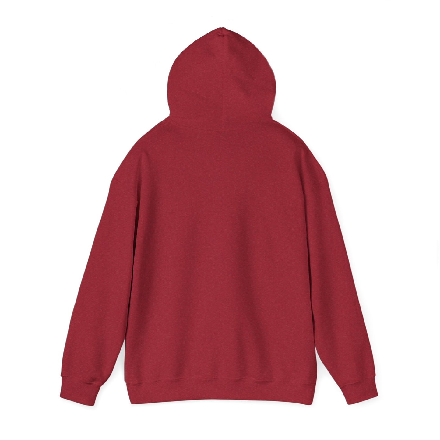 Travel-Inspired Women's Hoodie - Adventure Awaits Sweatshirt, Cozy Clothing, Gift for Travelers, Travel Merchandise