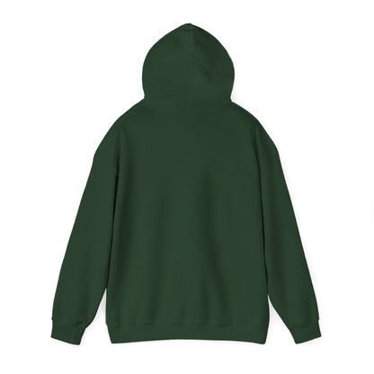 Travel-Inspired Women's Hoodie - Adventure Awaits Sweatshirt, Cozy Clothing, Gift for Travelers, Travel Merchandise