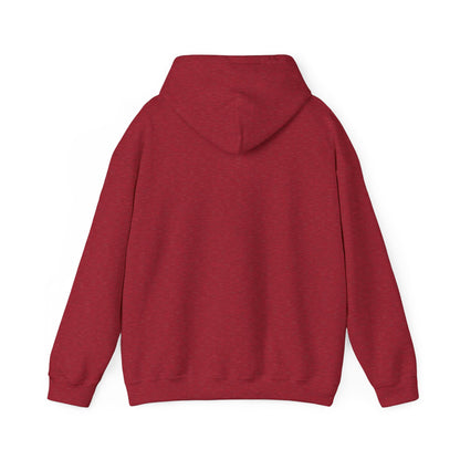 Travel-Inspired Women's Hoodie - Adventure Awaits Sweatshirt, Cozy Clothing, Gift for Travelers, Travel Merchandise